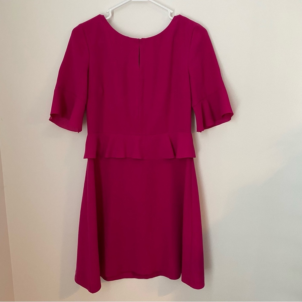 Banana Republic Berry Magenta Ruffle Formal A-Line Short Dress